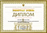 Диплом 2010